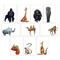 Better Office Products All Occasion Greeting Cards & Env, 4in x 6in 10 Cute & Fun Wild Animal Designs, Blank Inside, 100PK 64554 - alternate 1
